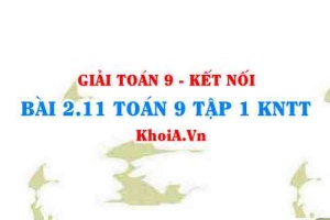Bài 2.21 SGK Toán 9 tập 1 Kết nối tri thức